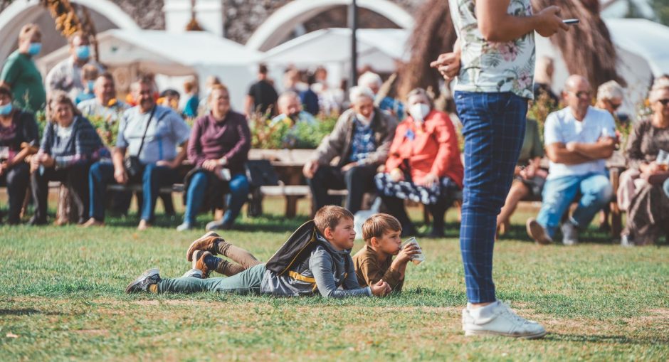 Pakruojo dvare savaitgalį praūžė galiūnus sukvietusi Bumbulinių mugė