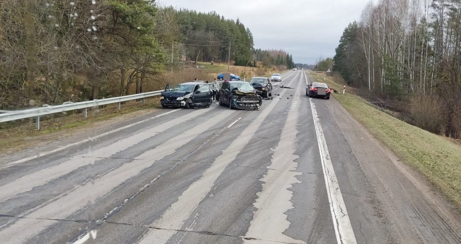 Molėtų plente į kelią išbėgus briedžiui susidūrė trys automobiliai: vairuotojas – ligoninėje