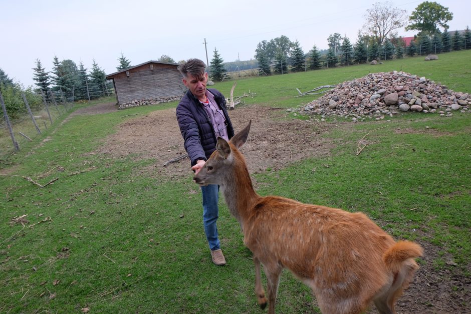 Š. Bružinskas: pas mane gyvūnai tarsi sanatorijoje poilsiauja