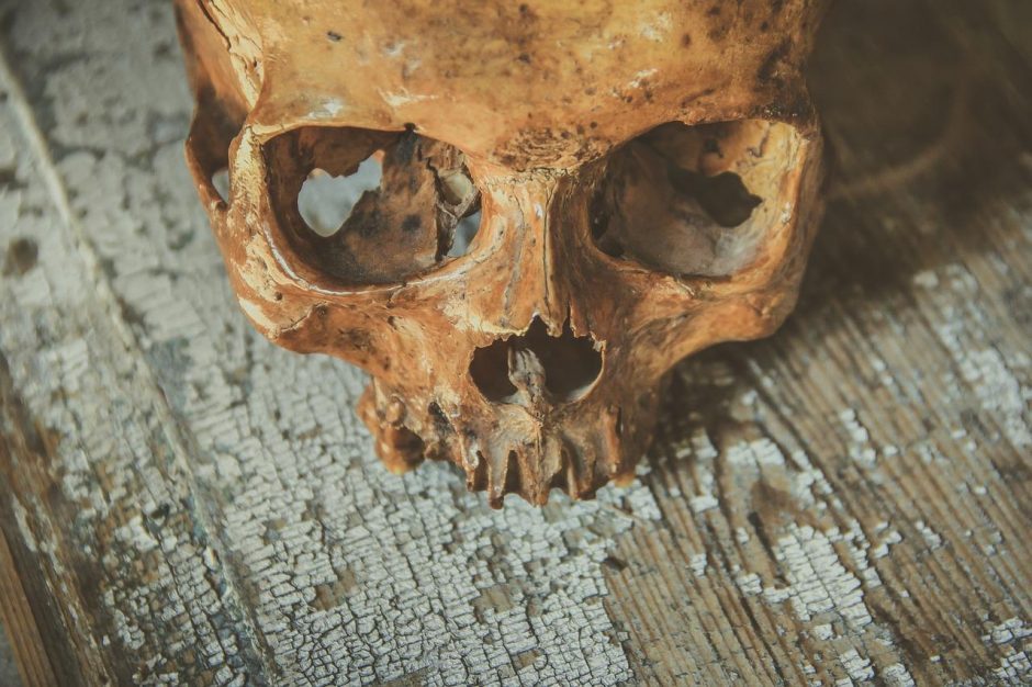 Švenčionių rajone – šiurpus radinys: remontuojant kelią aptikta žmogaus kaukolės dalis