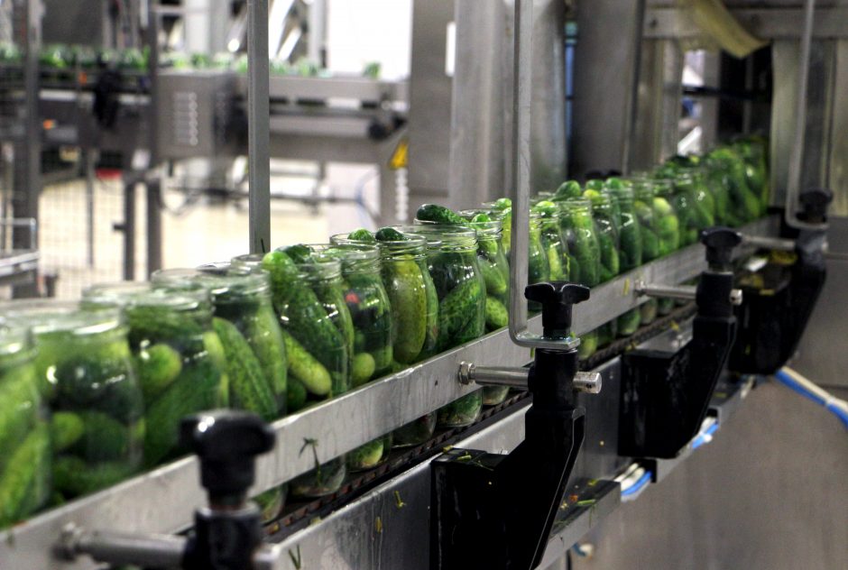 Tik kartą per metus: į stiklainius – 1 200 tonų agurkų