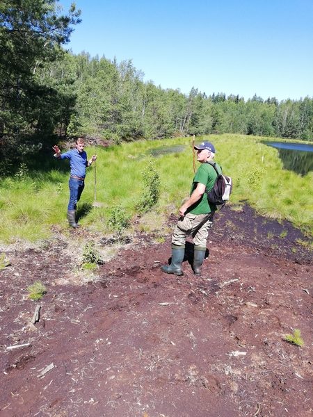 Dėmesys pelkių atsistatymui: atkuriamos sutrikdytos natūralios ekosistemos