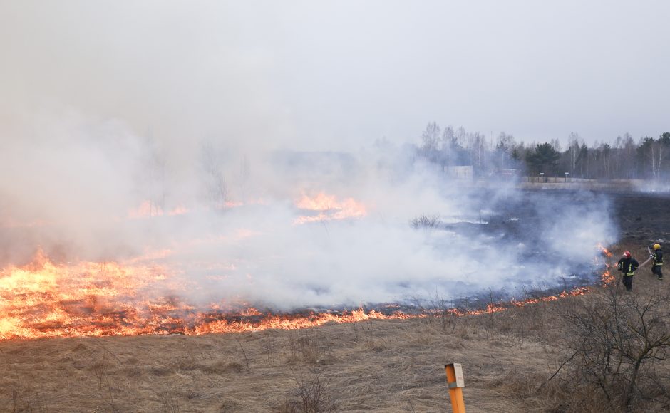 Šventinį savaitgalį darbų netrūko: užgesinta per pusantro šimto gaisrų