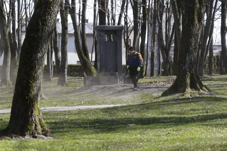 Sovietų karių palaidojimo vietos pertvarkymui Klaipėdoje pateiktos šešios idėjos