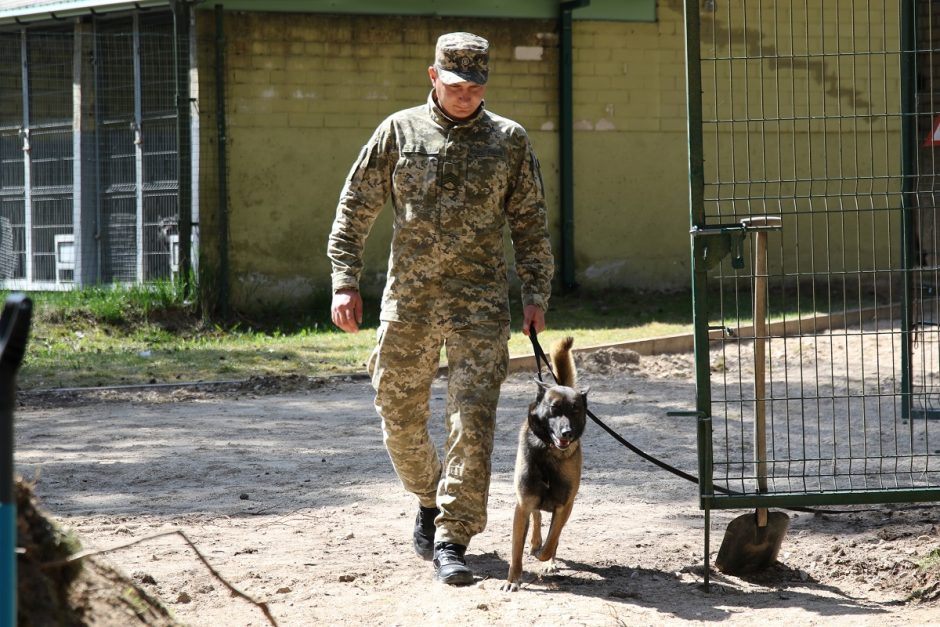 Lietuvos kinologai Ukrainos pasieniečių šunis moko ieškoti minų