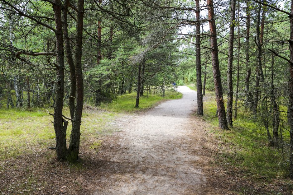 Įmonės kviečiamos savanoriauti šalies saugomose teritorijose