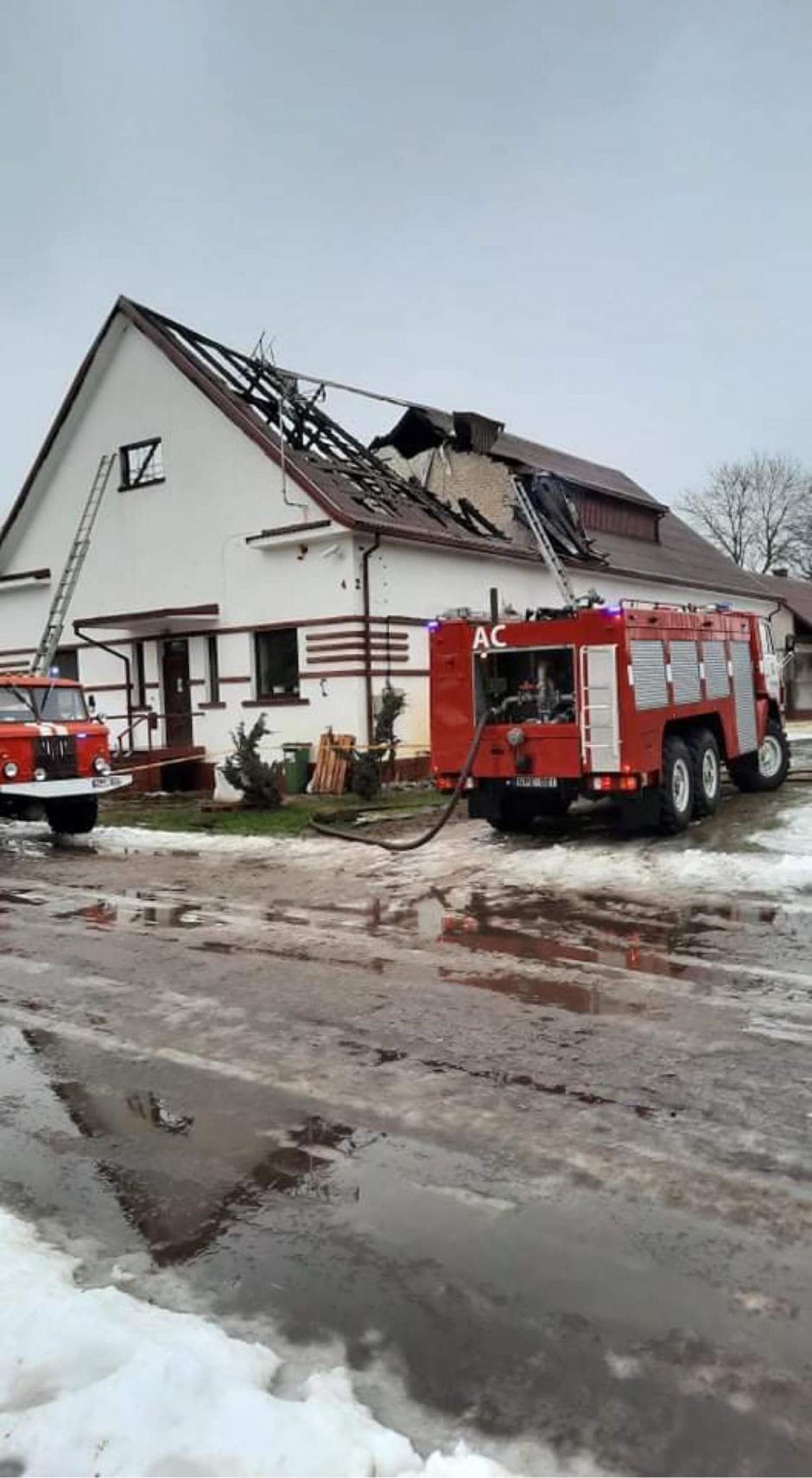 Liepsnos įsisuko į A. Karaliūnaitės žolelių cechą: sudegė mano širdis