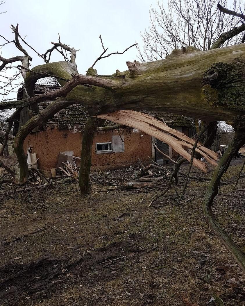 Gelbėtojai tebešalina vėjo padarinius: iškvietimų buvo itin daug