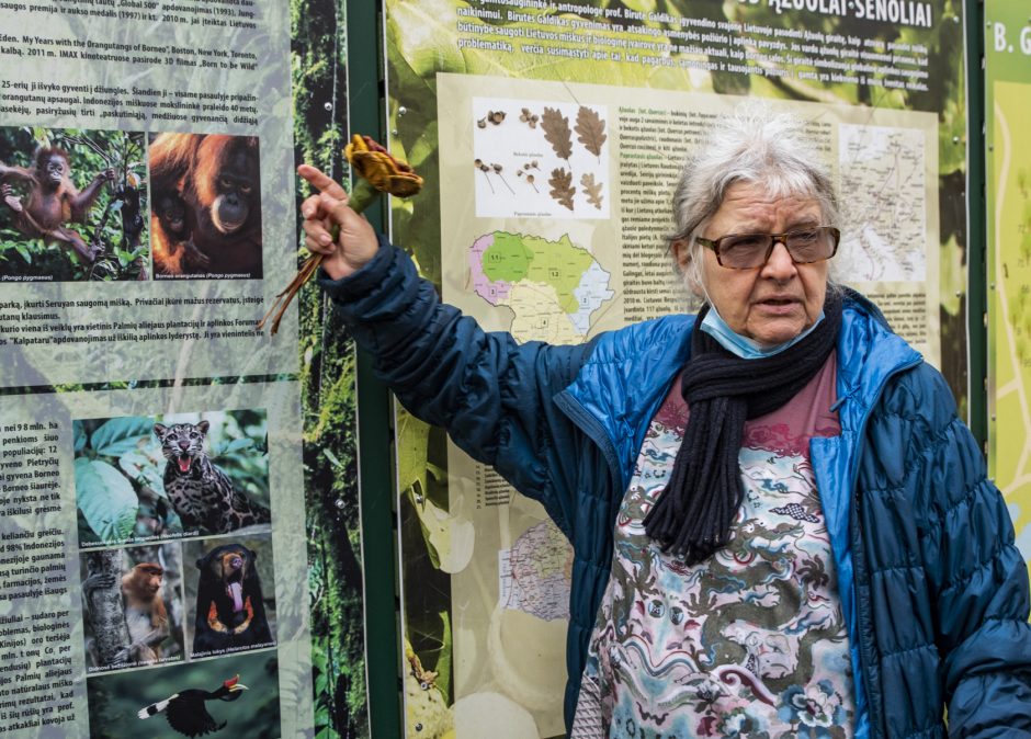 Profesorė B. Galdikas: Lietuva turi gilų istorinį ryšį su gamta