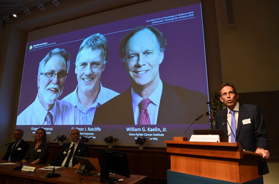 2019-ųjų Nobelio medicinos premija paskirta dviem amerikiečiams ir britui