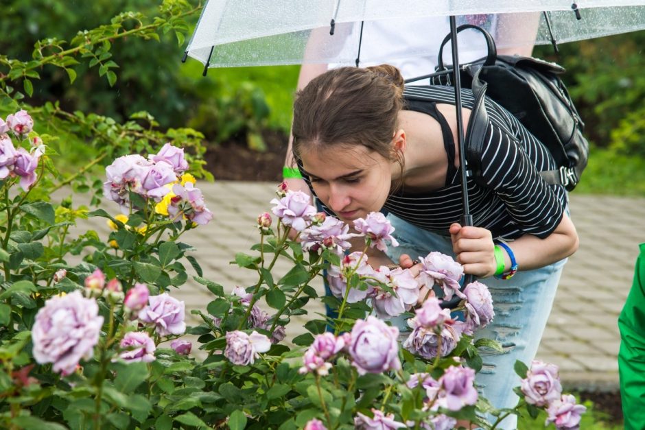 „Kvapų naktyje“ – nuo paskaitų ir edukacijų iki įspūdingų koncertų (programa)