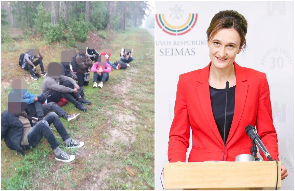 V. Čmilytė-Nielsen: anksčiau ignoravę pabėgėlių problemą, tapome pagalbos prašytojai