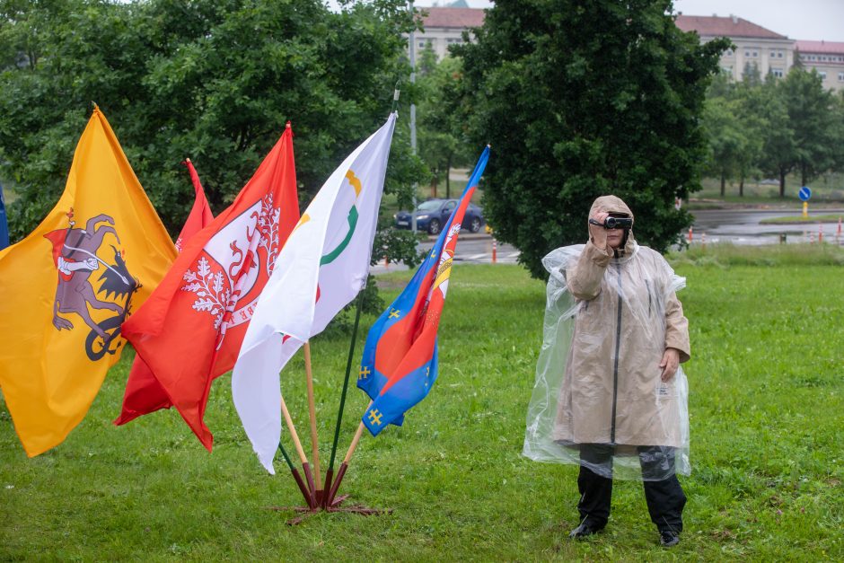 V. Čmilytė-Nielsen apie Šeimų sąjūdžio mitingą: tai – neskaitlingos visuomenės grupės nuomonė