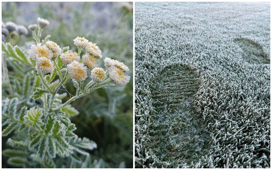 Meteorologai: užfiksuota šalčiausia šio rudens naktis