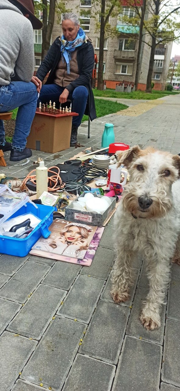 Blusų turguje Klaipėdoje netrūko geros nuotaikos