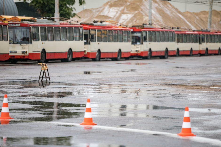 Sostinės viešojo transporto vairuotojai varžėsi meistriškumo varžybose