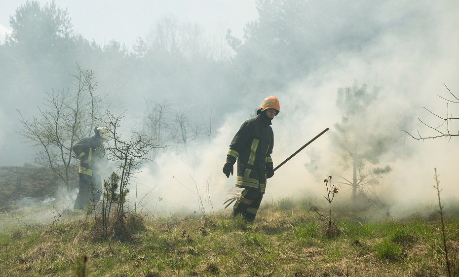 Per karines pratybas Jonavos rajone užsidegė žolė