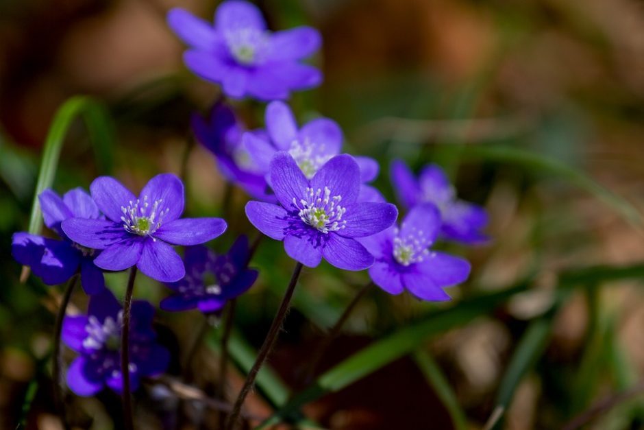 Dienos horoskopas 12 Zodiako ženklų (balandžio 5 d.)