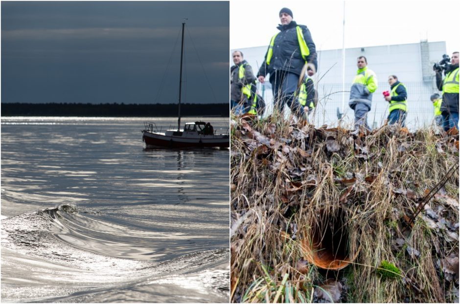 Po „Grigeo“ skandalo – Kuršių marių tyrimo rezultatai: vanduo nėra toksiškas