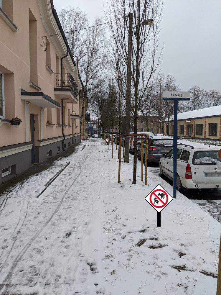 Dėl šunų išmatų – gyventojų pyktis: nori uždrausti savo kieme vedžioti šunis