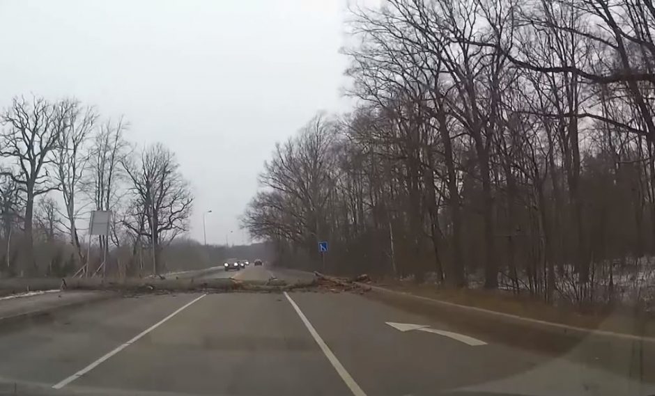 Per plauką nuo skaudžios nelaimės: vėjas vartė medžius tiesiai prieš mašinas (vaizdo įrašas)