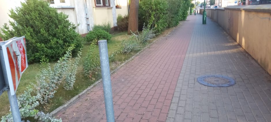 Klaipėdoje suniokoti kelio ženklai: ar nebus nukentėję per Jūros šventę?