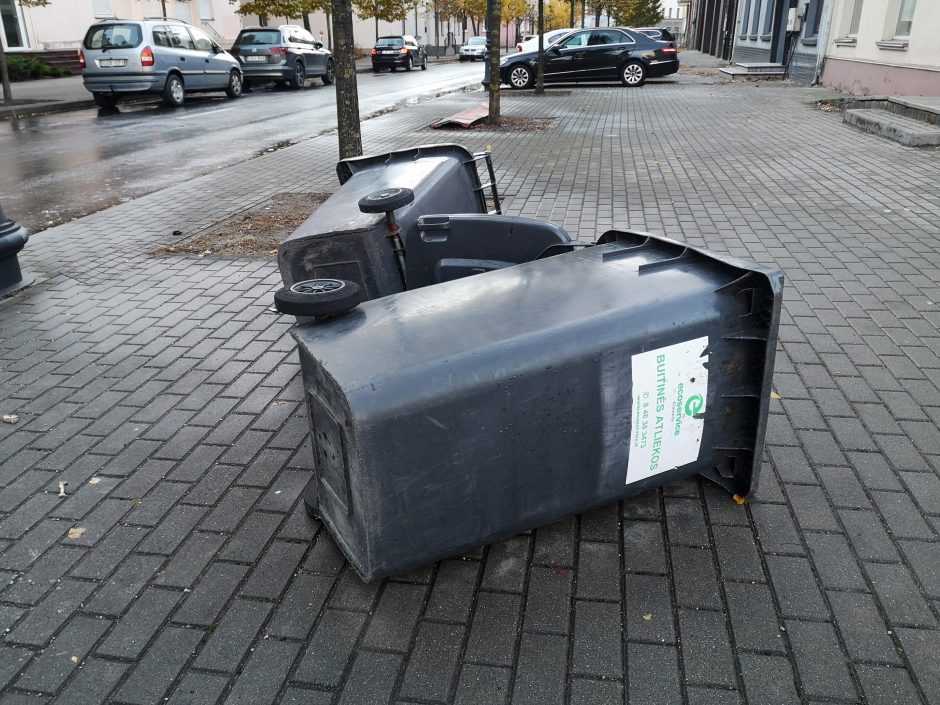 Uostamiestyje praūžė audra: virto medžiai, nuo pastatų nuplėštos palangės