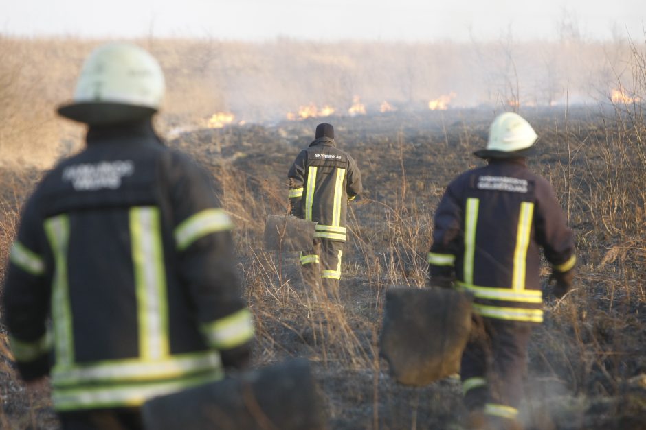 Daugiausia gaisrų – Klaipėdos rajone