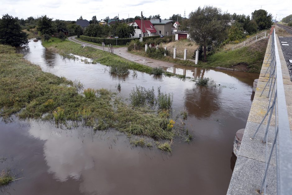 Vandens telkinių monitoringą pavadino „smegenų pudrinimu“