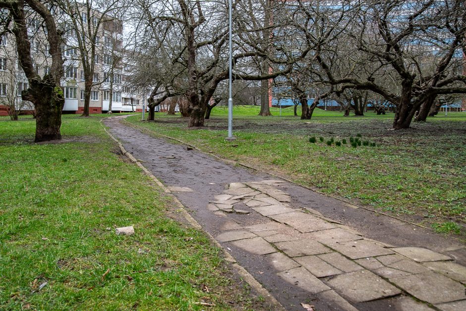 Gyventojai Stebisi Situacija Debreceno Gatvėje Takas Pradingo Liko Tik Purvynas Kl Lt