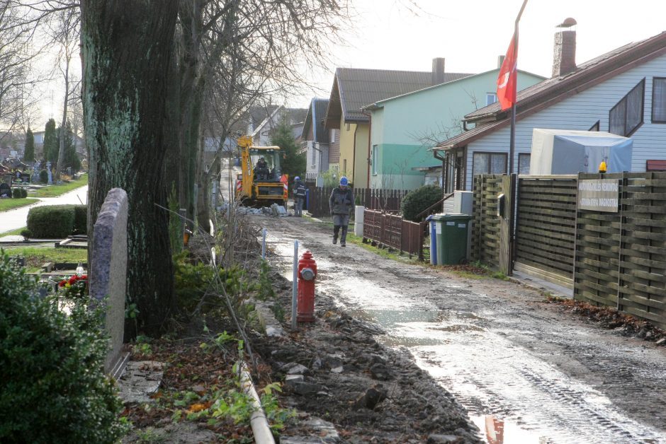 Paminklą baigia užgožti kėniai