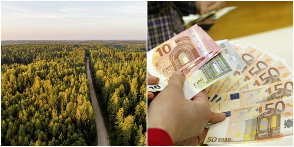 Seimas apribojo miško žemės pirkimą: bus galima turėti 1500 hektarų