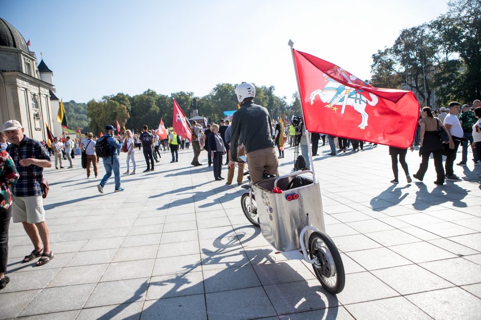 Vilniuje – tūkstantinis protestas: su plakatais „Ne gyvulių pasui“ ir „Dž. Sorošą lauk iš Lietuvos“