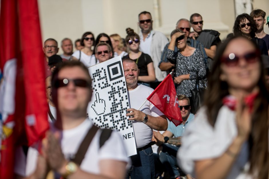 Vilniuje – tūkstantinis protestas: su plakatais „Ne gyvulių pasui“ ir „Dž. Sorošą lauk iš Lietuvos“