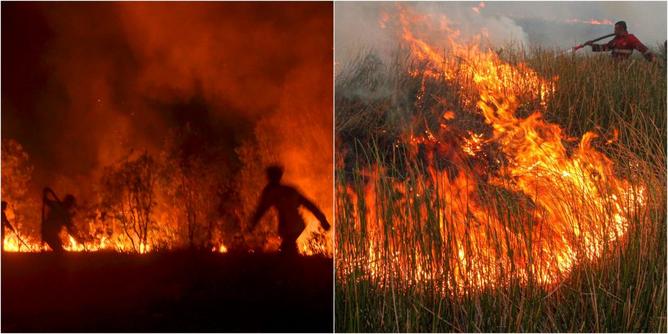 Indonezijos miškus talžo ugnis: gaisrams gesinti pasitelkta 8 tūkst. žmonių