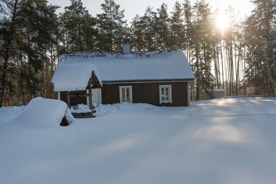 V. Radzevičiui sodyba Dzūkijoje – puiki vieta ir dirbti, ir galvą atvėsinti