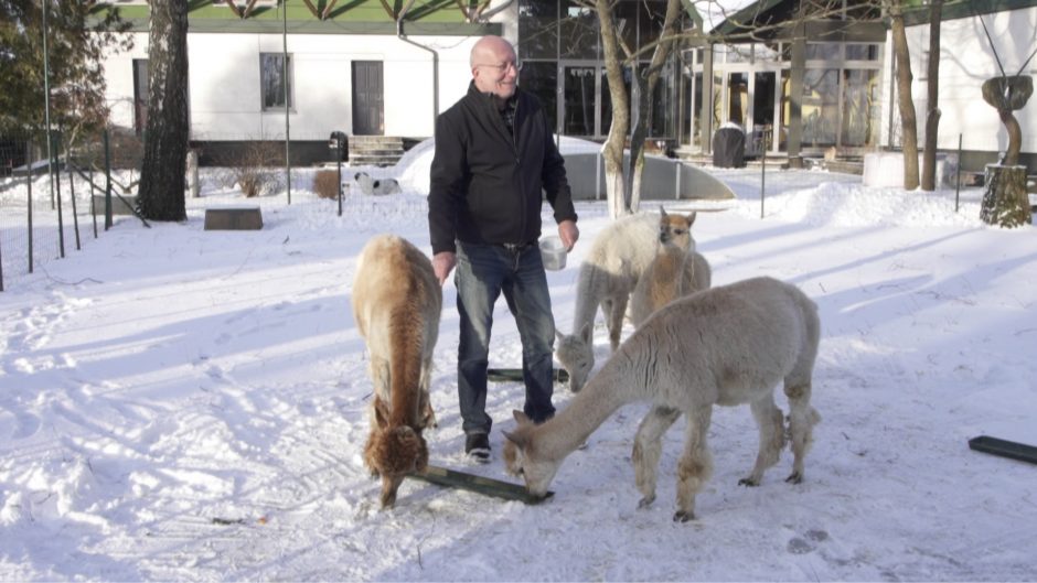 A. Valinskas papasakojo apie ryšį su gyvūnais: šeimos širdis pavergė alpakos, šunys ir katės