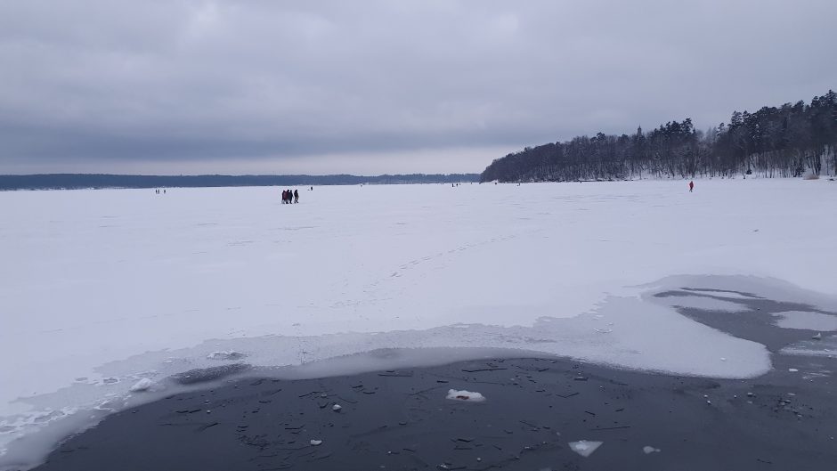 Neatsakingas elgesys: ant Kauno marių ledo lipa būriais