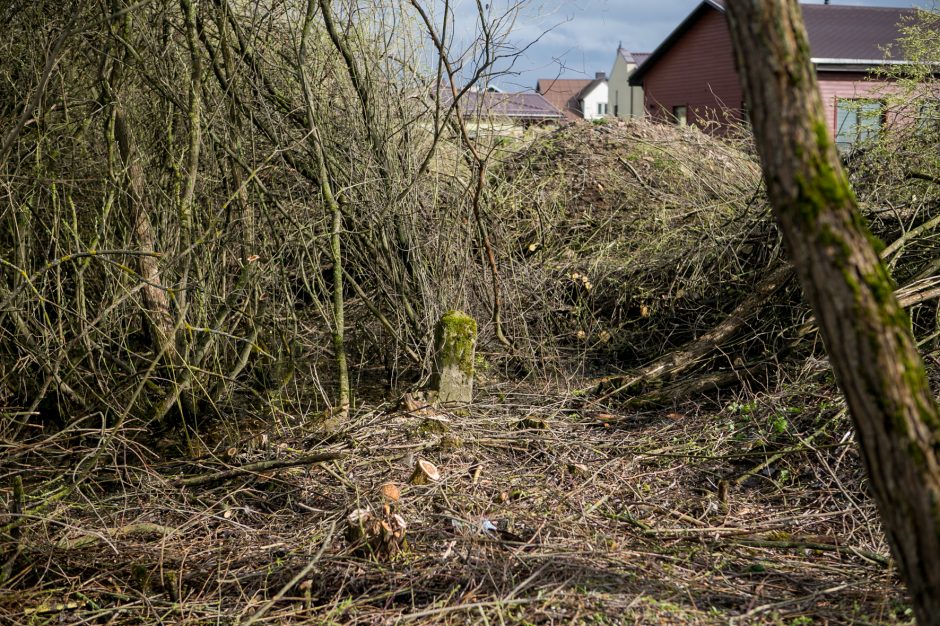 Aleksote pjaunant krūmus rastas pusmetrio ilgio sprogmuo