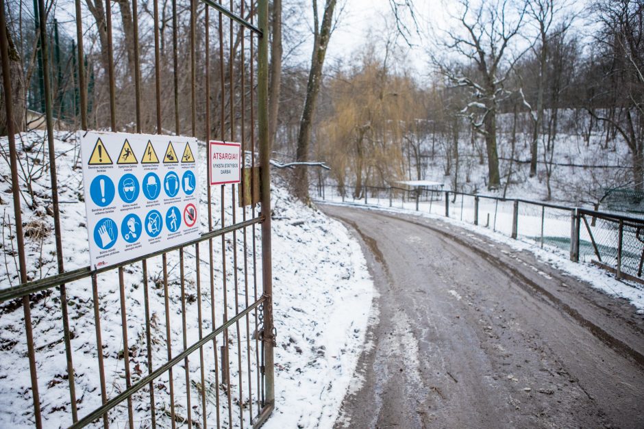 Šiurpi Zoologijos sodo mįslė – su vagystės šešėliu