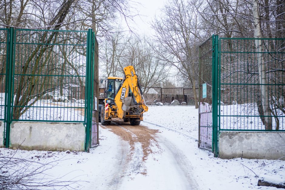 Šiurpi Zoologijos sodo mįslė – su vagystės šešėliu