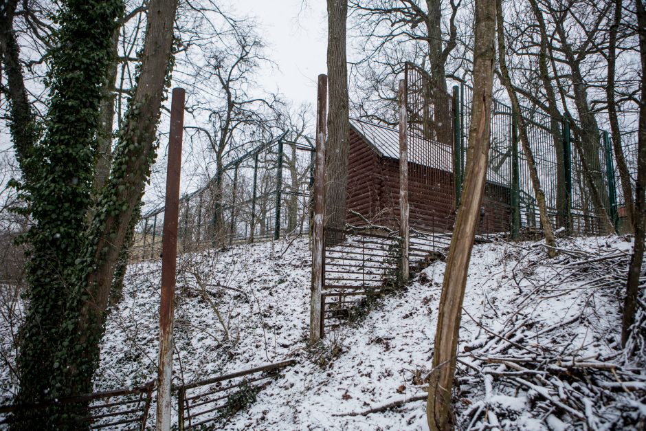 Šiurpi Zoologijos sodo mįslė: dalis jos jau įminta