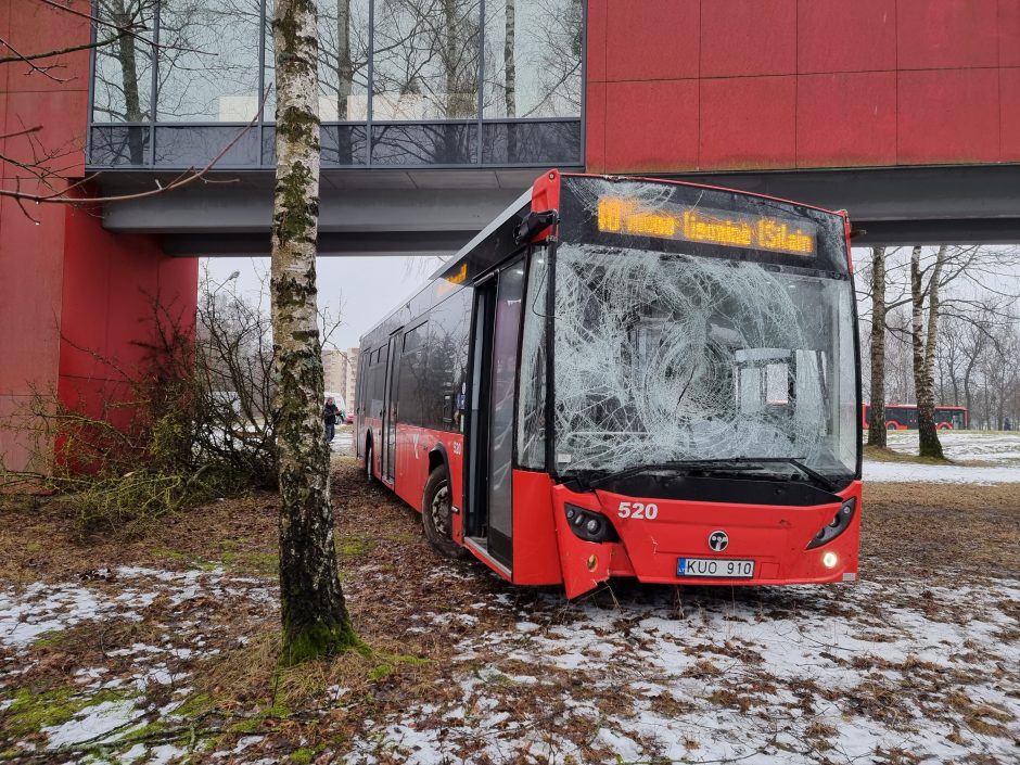 Per plauką nuo tragedijos: autobuso vairuotojas prarado sąmonę ties posūkiu, kur jo laukė keleiviai