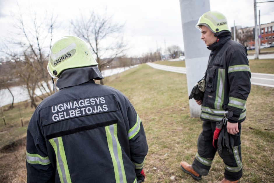 Sujudimas prie Varnių tilto: buvo iškviesti gelbėtojai ir aplinkosaugininkai