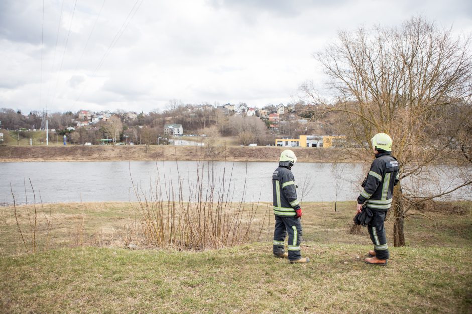 Sujudimas prie Varnių tilto: buvo iškviesti gelbėtojai ir aplinkosaugininkai