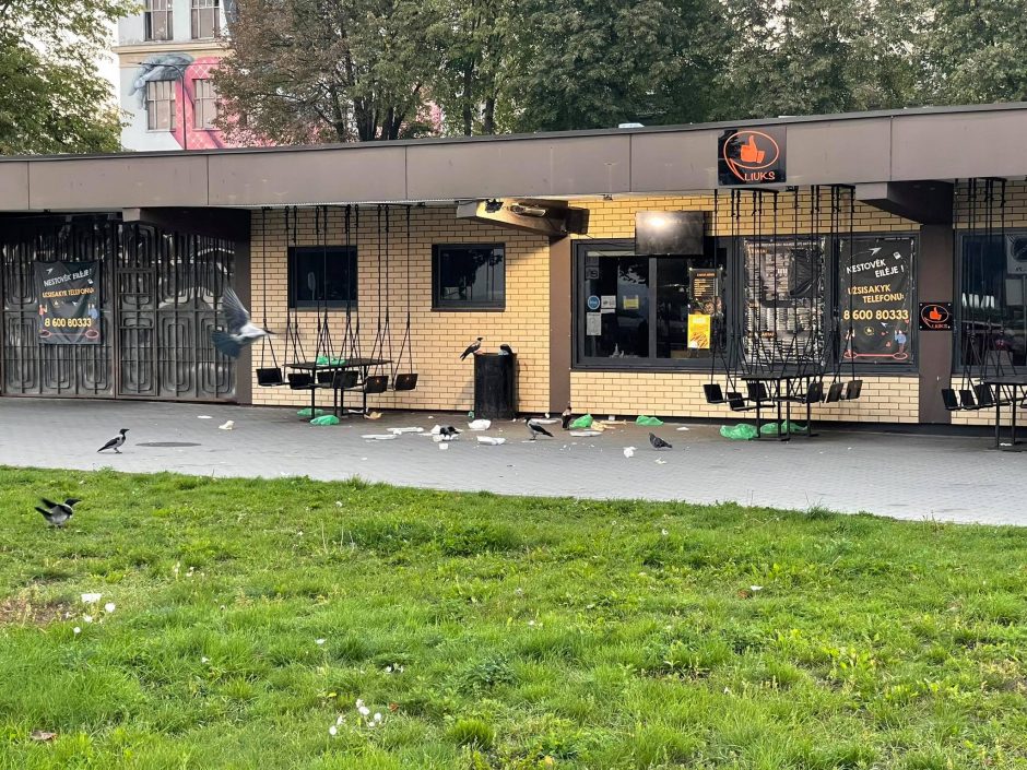 Kaunietė pasibaisėjo vaizdu prie „Liuks kebabų“: puota kirams ir varnoms – baisu!