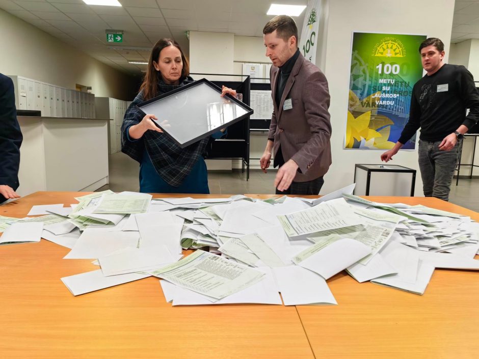 Politologai – apie rinkimus: žmonės pasiilgę progos išreikšti savo valią