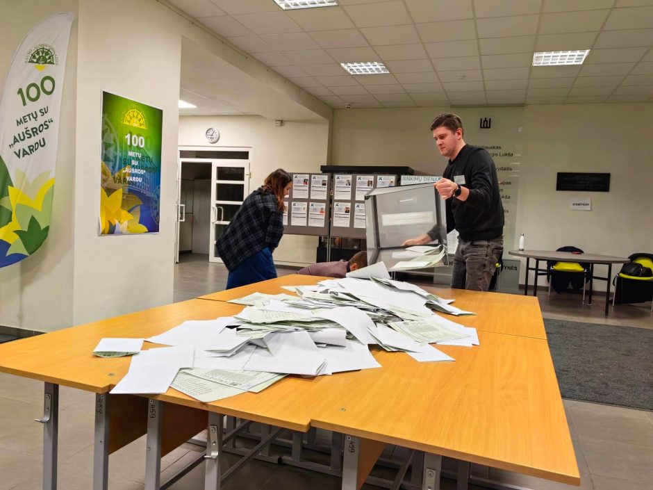 Politologai – apie rinkimus: žmonės pasiilgę progos išreikšti savo valią