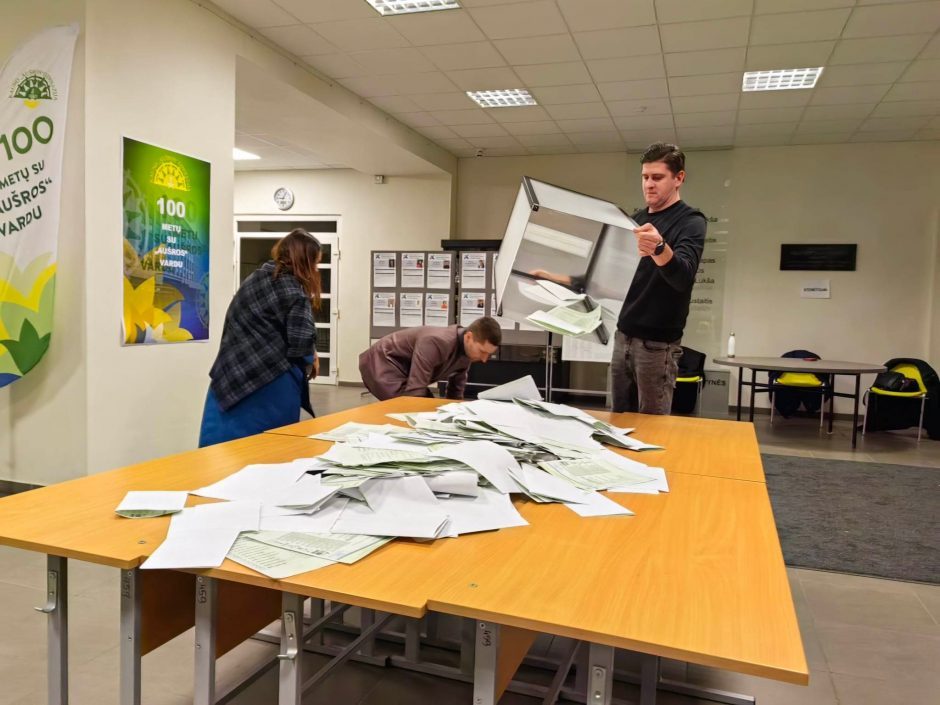 Politologai – apie rinkimus: žmonės pasiilgę progos išreikšti savo valią