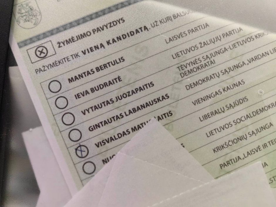 Politologai – apie rinkimus: žmonės pasiilgę progos išreikšti savo valią